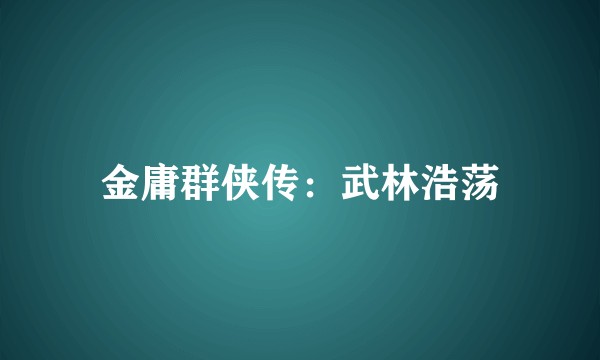 金庸群侠传：武林浩荡