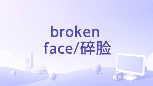 broken face/碎脸