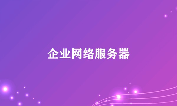 企业网络服务器