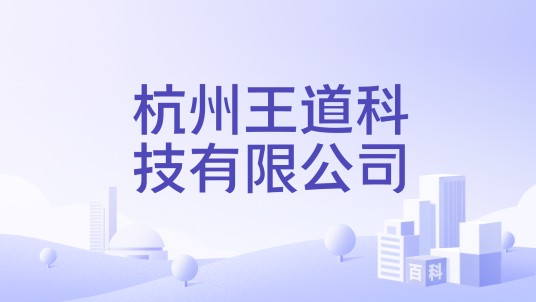 杭州王道科技有限公司