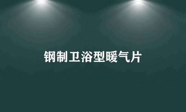 钢制卫浴型暖气片