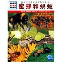 蜜蜂和蚂蚁（2010年湖北教育出版社出版的图书）