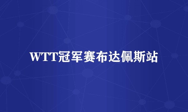 WTT冠军赛布达佩斯站