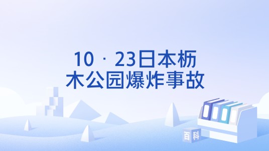 10·23日本枥木公园爆炸事故
