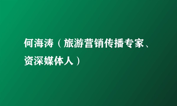 何海涛（旅游营销传播专家、资深媒体人）
