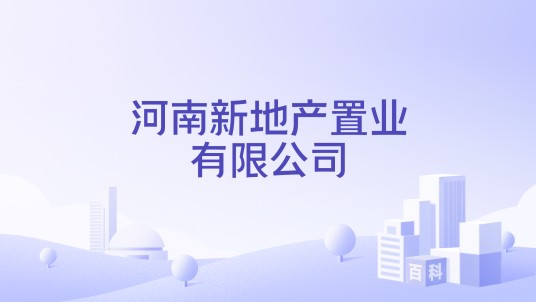 河南新地产置业有限公司