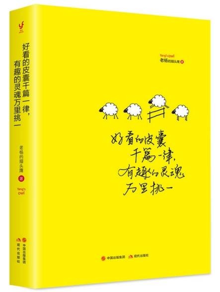 好看的皮囊千篇一律，有趣的灵魂万里挑一（2017年现代出版社出版的图书）