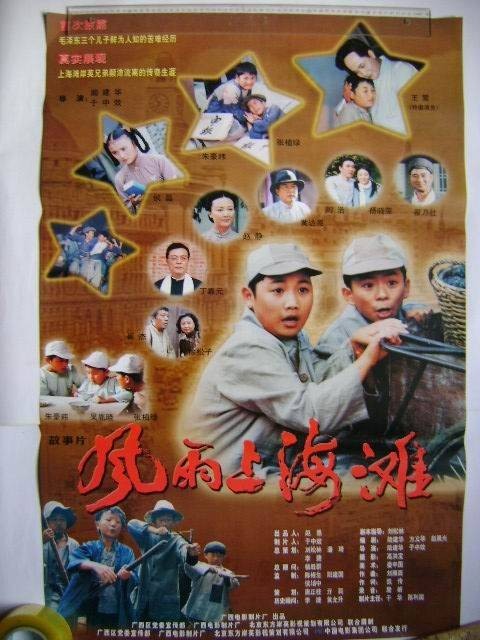 风雨上海滩（2004年陆建华于中效执导的剧情电影）