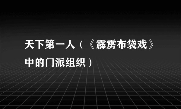 天下第一人（《霹雳布袋戏》中的门派组织）