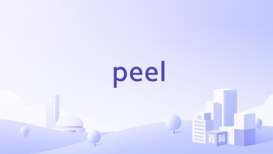 peel（美国创业公司）