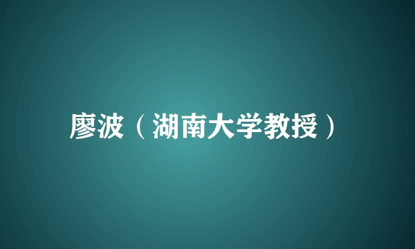 廖波（湖南大学教授）