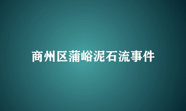 商州区蒲峪泥石流事件