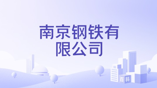 南京钢铁有限公司