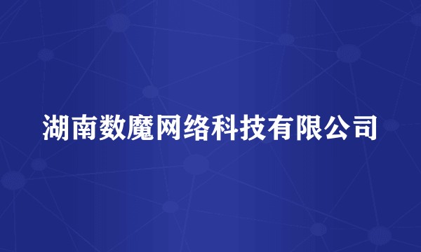 湖南数魔网络科技有限公司