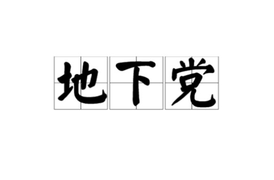 地下党（从事秘密侦探工作的共产党人）