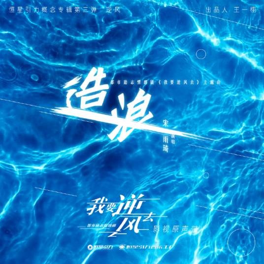 造浪（电视剧《我要逆风去》主题曲）