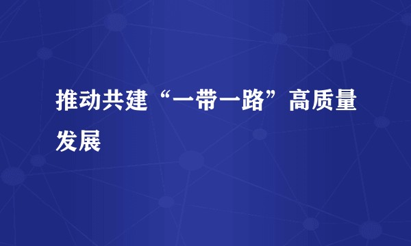 推动共建“一带一路”高质量发展