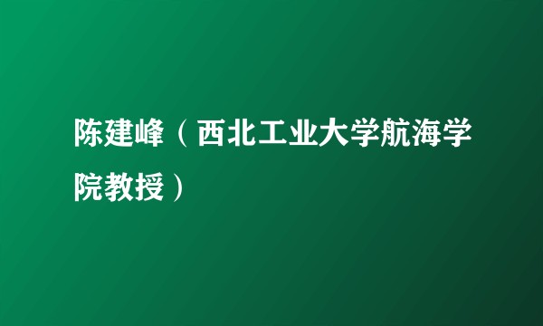 陈建峰（西北工业大学航海学院教授）