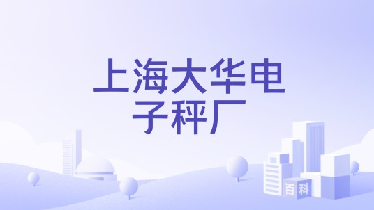 上海大华电子秤厂