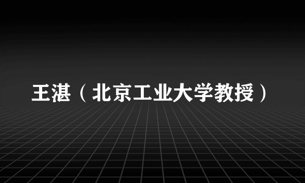 王湛（北京工业大学教授）