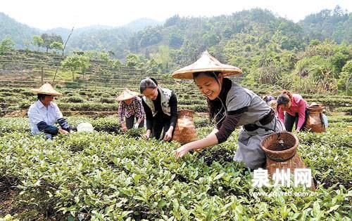 采茶调（汉族的民歌）
