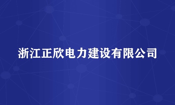 浙江正欣电力建设有限公司