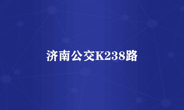 济南公交K238路