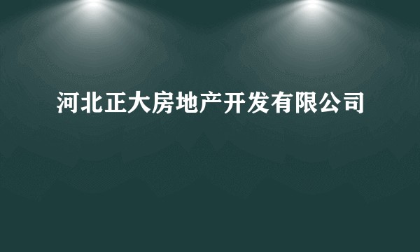 河北正大房地产开发有限公司