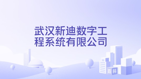 武汉新迪数字工程系统有限公司