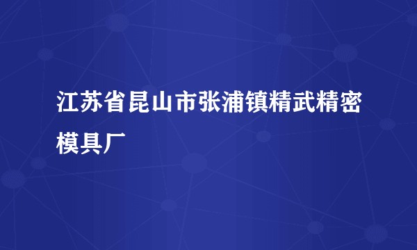 江苏省昆山市张浦镇精武精密模具厂