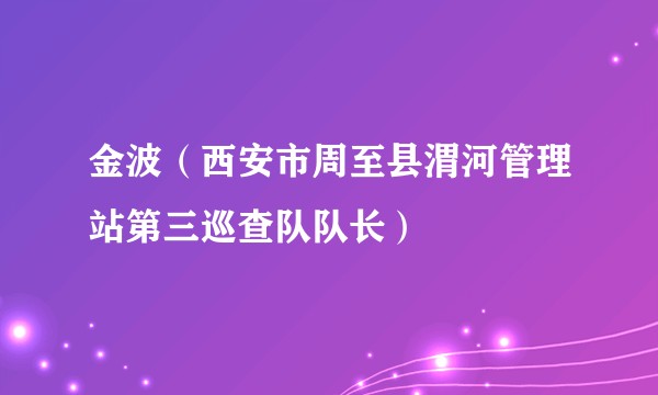 金波（西安市周至县渭河管理站第三巡查队队长）