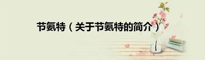 节氨特（关于节氨特的简介）