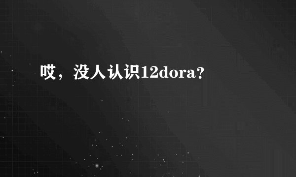 哎，没人认识12dora？