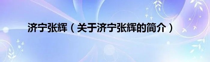 济宁张辉（关于济宁张辉的简介）
