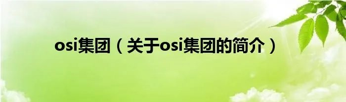 osi集团(关于osi集团的简介)