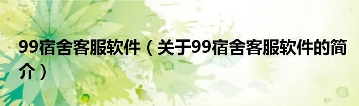 99宿舍客服软件（关于99宿舍客服软件的简介）