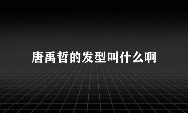 唐禹哲的发型叫什么啊