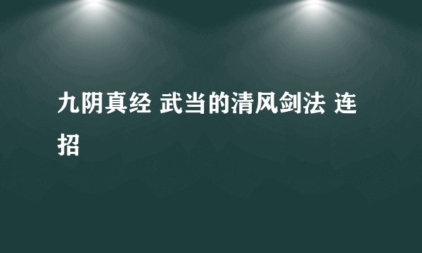 九阴真经 武当的清风剑法 连招
