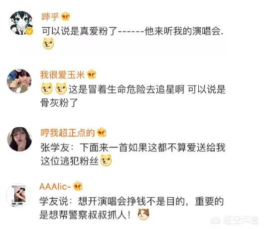 如何看待张学友赣州演唱会,一逃犯落网?