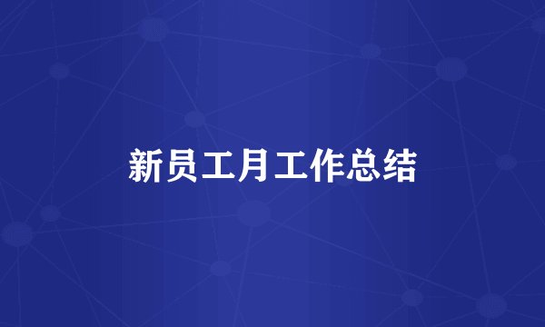 新员工月工作总结