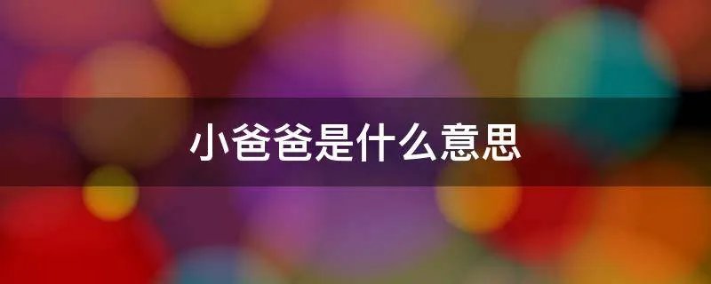 小爸爸是什么意思