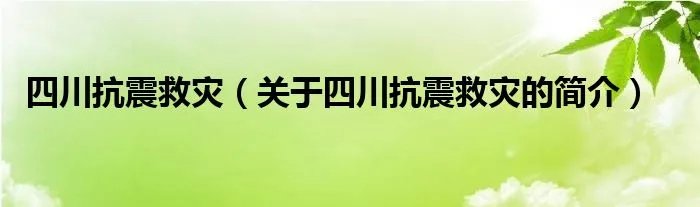 四川抗震救灾（关于四川抗震救灾的简介）
