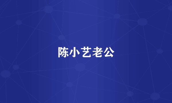 陈小艺老公
