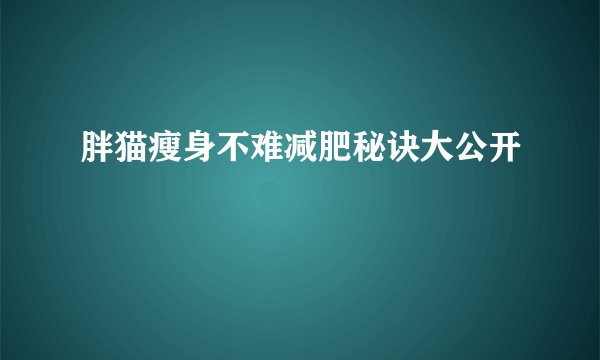 胖猫瘦身不难减肥秘诀大公开