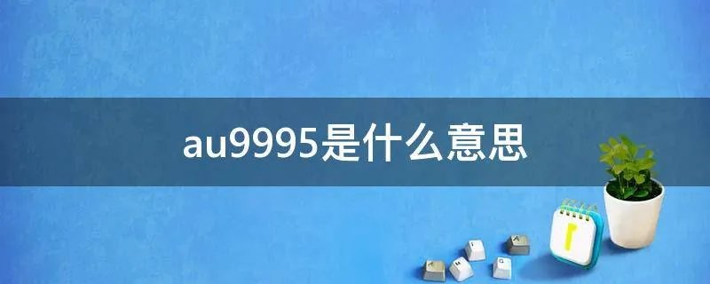 au9995是什么意思
