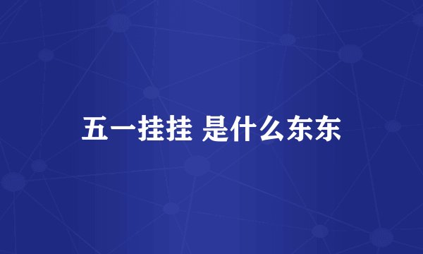 五一挂挂 是什么东东