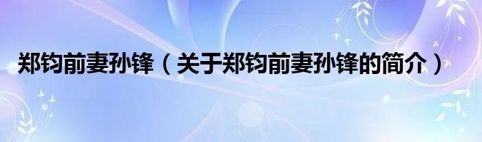 郑钧前妻孙锋（关于郑钧前妻孙锋的简介）