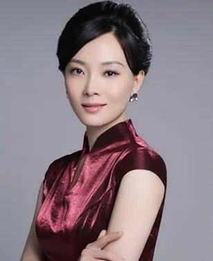 陈数吧的介绍