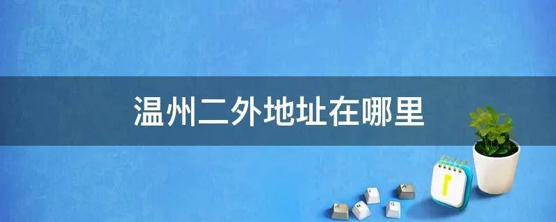 温州二外地址在哪里