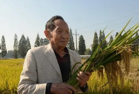 袁隆平人物事迹和精神是什么？